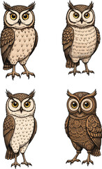 Collection of detailed hand-drawn owl illustrations featuring realistic and ornamental designs, standing forest birds with expressive eyes and intricate feather patterns