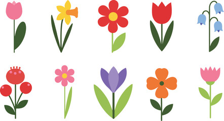 Collection of colorful spring flowers vector illustration set