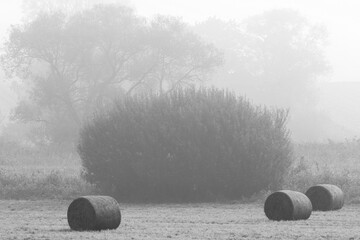 Krajobrazy Warmii -Po sianokosach 