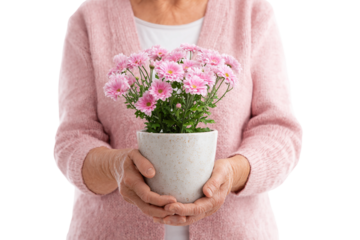 Senior showcasing bouquet in vase isolated on transparent background