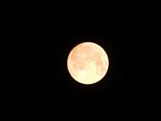 Vollmond am 5. November 2025 in der Uckermark