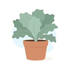 Obraz premium Soft vector illustration showing leafy succulent in terracotta pot, succulent adding calm botanical vibe for modern decor settings, wide textured leaves creating soothing natural accent