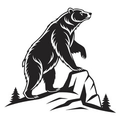 A standing bear illustration in vector format