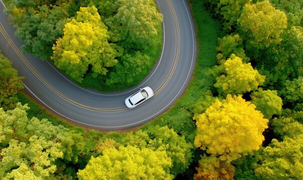 A white car follows a winding road surrounded by colorful autumn trees and greenery - Powered by Adobe