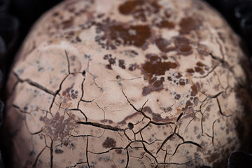 Expired chocolate candy close up. Cracks on an old chocolate candy in macro