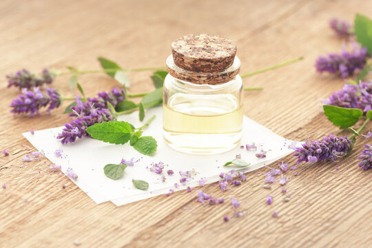 Patchouli essential oil or extract in glass bottle with flowers on wooden table, closeup, natural medicine and healthy skin and body treatment concept