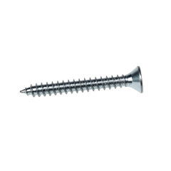 Long Silver Zinc-Plated Wood Screw - Full Thread Countersunk Fastener