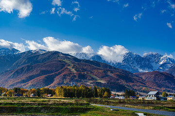 紅葉と白馬岳と自然風景