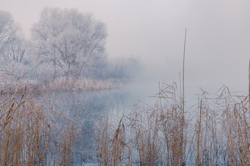 Gorgeous frosty morning with fog over the lake in November. White rime on trees, bushes, and reeds.