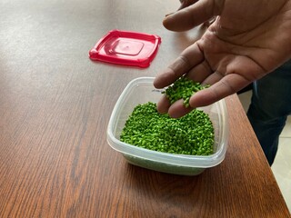 hand holding a bowl of green beans