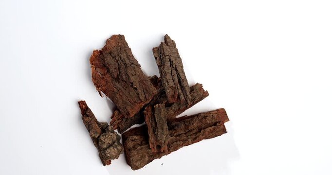 Babul or babhul Chaal - Acacia Bark, also known as Vachellia,Nilotica bark,Kikar Ki Chaal, Gum Arabic Tree Bark