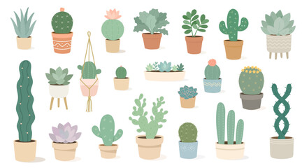 Soft vector illustration featuring diverse succulent set arranged in decorative planters, succulent set adding modern botanical charm for interior styling, Set of blooming cacti and succulents.  © evgenia_lo