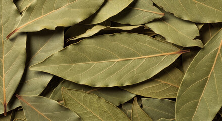 Aromatic bay leaves offering culinary flavor, perfect for adding depth to soups and stews, enhancing gourmet recipes with subtle herbal notes for cooking inspiration