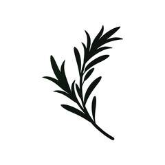 Rosemary sprig silhouette vector created as a minimalist herb graphic for natural themes Vector illustration