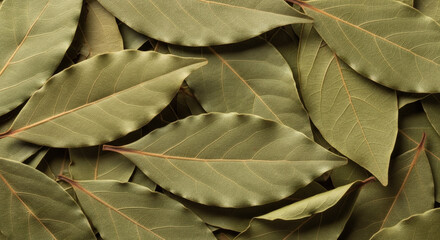 Aromatic dried bay leaves create a flavorful backdrop, perfect for culinary projects and healthy living promotions in food and lifestyle publications