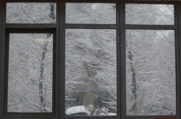 Snow-covered trees are reflected in the double-glazed windows