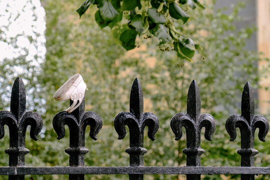 Lost baby shoe on a decorative iron fence.