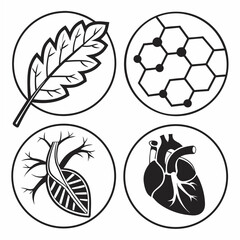 Circular Icons of Heart, Leaf, and Molecular Structure circle
