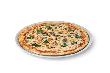Delicious italian pizza with tomato sauce, mozzarella, anchovies, sliced olives, and capers on a white plate