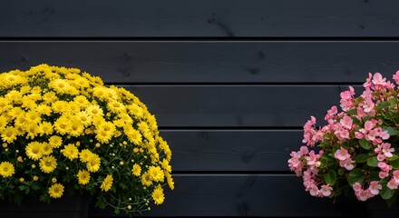 Bright yellow and pink flowers against a dark wooden wall background