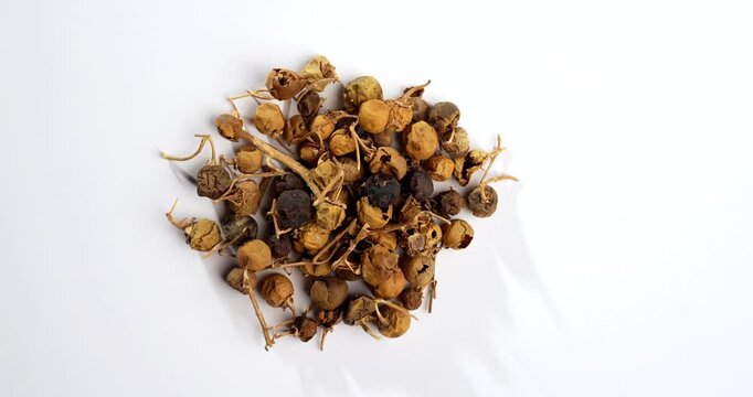 Ayurvedic Choti Kateli also known as Kantkari or Solanum Surattense dried and powder form