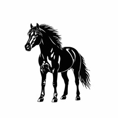 Elegant black horse standing proudly in a striking pose, full body view.