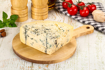 Gourmet blue cheese with mold