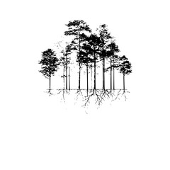 A completely black background or solid color minimalist design suitable for various digital and print applications.