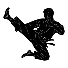 Black silhouette of a martial artist performing a high kick in karate image