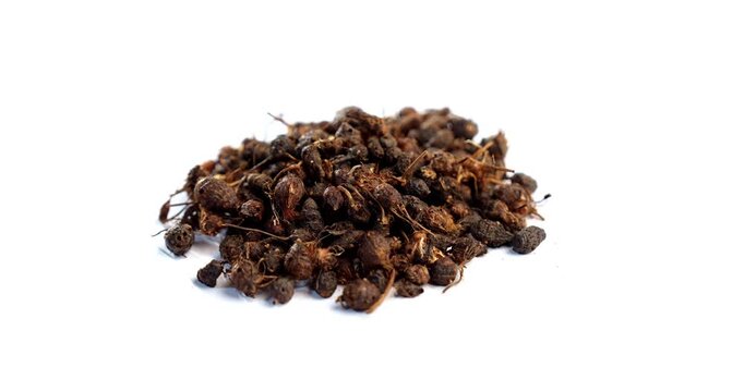 Ayurvedic Nagarmotha - Cyperus Scariosus or Cypriol in a bowl or heap