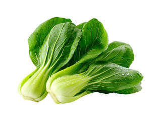 Fresh bok choy or pak choi vegetable isolated on transparent or white background, png