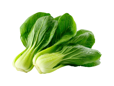 Fresh bok choy or pak choi vegetable isolated on transparent or white background, png