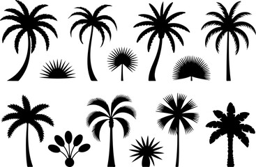 Obraz premium Set of palm trees silhouettes