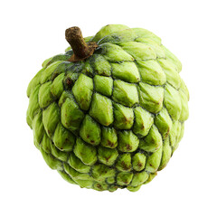 Obraz premium A single green custard apple fruit with a textured bumpy skin isolated on transparent background