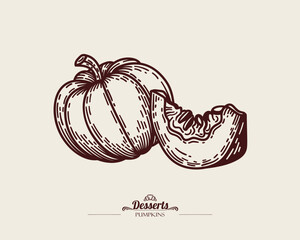 Round pumpkin next to pumpkin slice with seeds. Autumn vegetable, vector linear illustration.