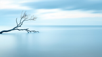 Serene seascape with a solitary tree branch over calm blue waters.