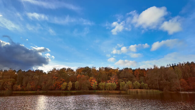 A peaceful lakeside forest displays golden autumn tones under a vast blue sky. - Powered by Adobe