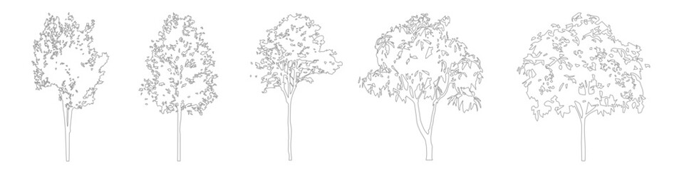 Architectural CAD Tree Outline Linework, Side View Trees for Landscape and Site Design