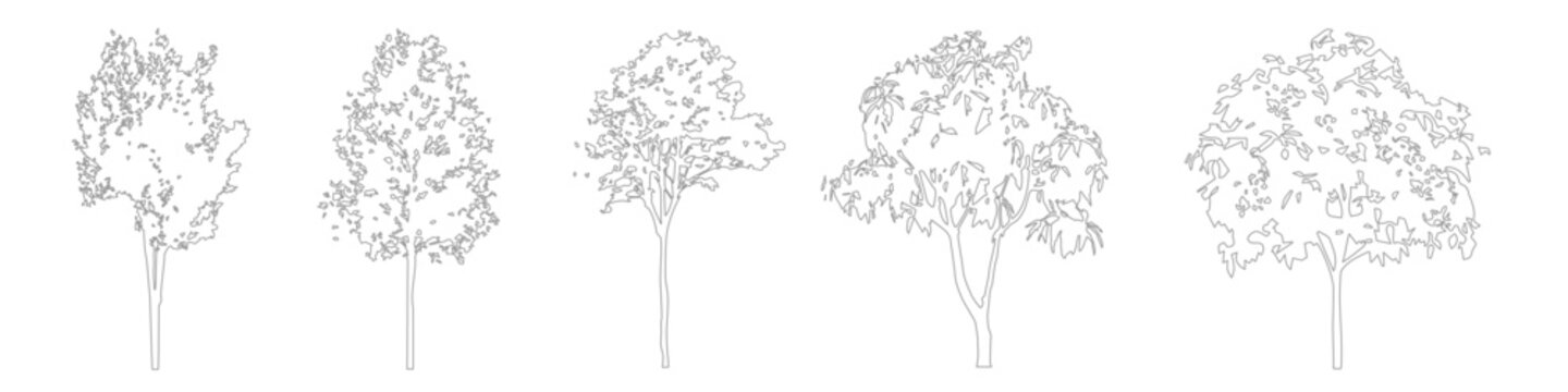 Architectural CAD Tree Outline Linework, Side View Trees for Landscape and Site Design