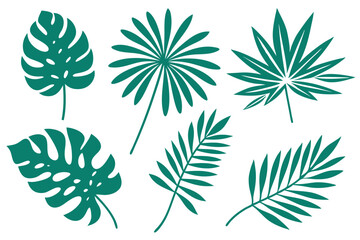 Various teal tropical foliage presents a collection of exotic nature and simple shapes on white