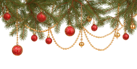 Christmas tree branches adorned with red baubles and golden bead garlands isolated on a transparent background