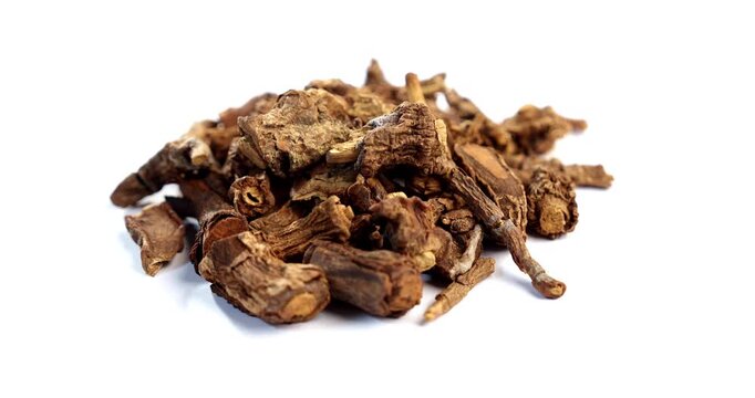 Syplocos racemosa, Lodhra is an Ayurvedic herb used in bleeding disorders, diarrhea eye disorders
