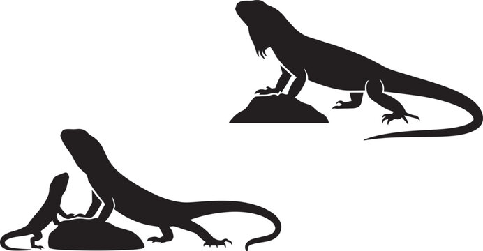Varanidae lizard family silhouettes standing on ground or rocks adult and young reptiles vector drawing.
