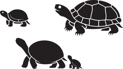 Detailed tortoises silhouettes set of large and small reptiles illustrating shell pattern vector graphics collection.