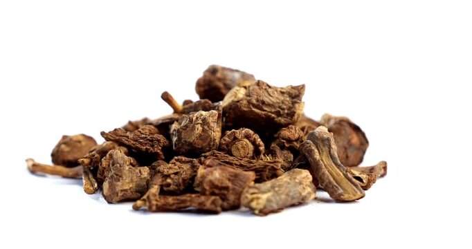 Syplocos racemosa, Lodhra is an Ayurvedic herb used in bleeding disorders, diarrhea eye disorders