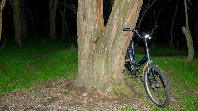 blue mountain bike leaning against a tree trunk at night - Powered by Adobe