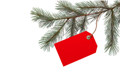 Pine branch with red gift tag hanging by twine isolated on a transparent background evergreen tree