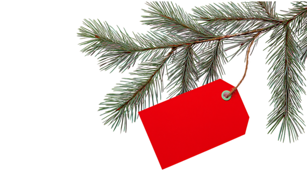 Pine branch with red gift tag hanging by twine isolated on a transparent background evergreen tree