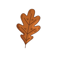 Brown Oak Leaf Vector Illustration, Hand-Drawn Oak Tree Leaf Autumn Design, Detailed Oak Leaf Botanical Graphic