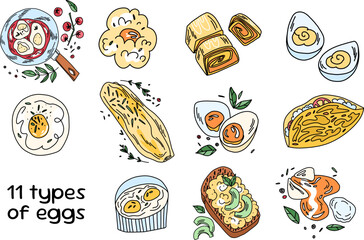 A large selection of eggs prepared in various ways. Fried eggs, omelettes, and boiled eggs